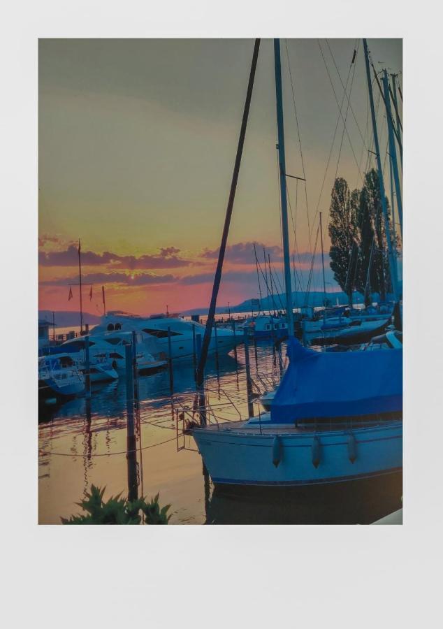 Bodensee Sunshine Zimmer & Apts. 울딘겐물호펜 외부 사진